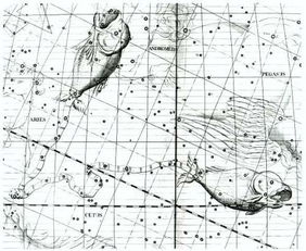 双鱼座天文学介绍1000字以上 