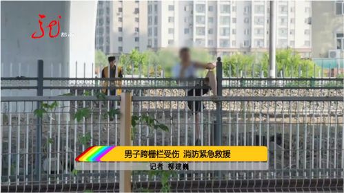 《跨越栅栏》,电影《跨越栅栏》简介