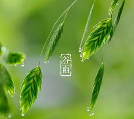 节气︱谷雨,告别春天,迎接夏日啦 