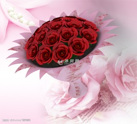 “情人节”的玫瑰