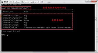 查看数据库编码,深入解析MySQL数据库编码