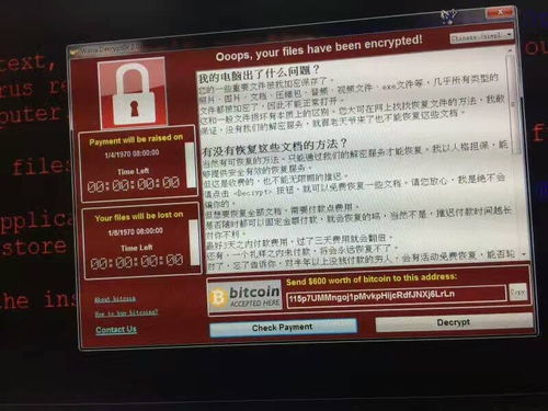 黑客比特币勒索,勒索病毒付比特币可以解决吗