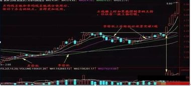 股票投10到20年