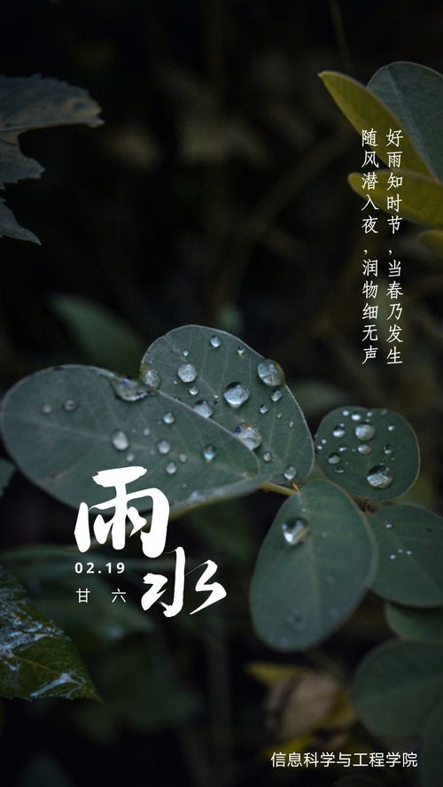 随风潜入夜润物细无声的意思,随风潜入夜，润物细无声。是什么意思？(图2)