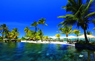 毛里求斯专业旅游网站 - 您的全方位旅游指南