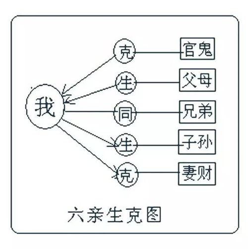 乐活学院九二老师 阴阳五行