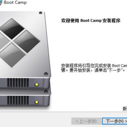 新款macpro安装win10