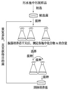 常见的培养基有哪些类型,培养基的种类-第4张图片