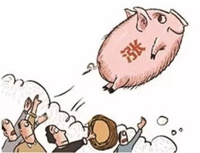 猪肉对应的股票板块有哪些