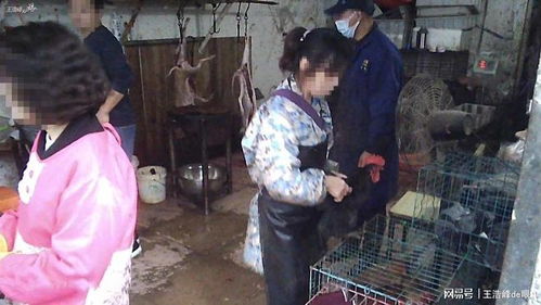 屠狗场开在武汉居民区门口怎么没人管