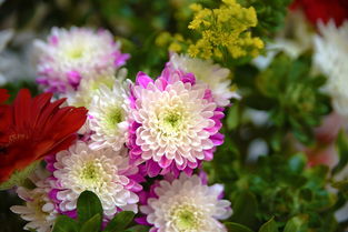 当花全部开时，花全部开 词语怎么说