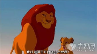 狮子王辛巴电影免费看完整版,狮子?king ?辛巴,免费完整版电影。