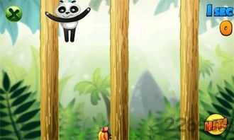 熊猫大战虫子手机版下载 熊猫大战虫子游戏下载v1.0.1 安卓最新版 2265游戏网 