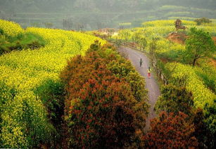 玉环山里村在哪个省,浙江玉环县是有有个蝤蛑什么的地方。请提供准确的村。路线。