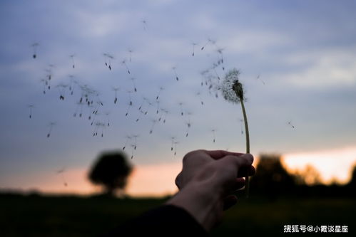 上半年内,缘分与桃花随风而来,爱情说来就来的4大生肖