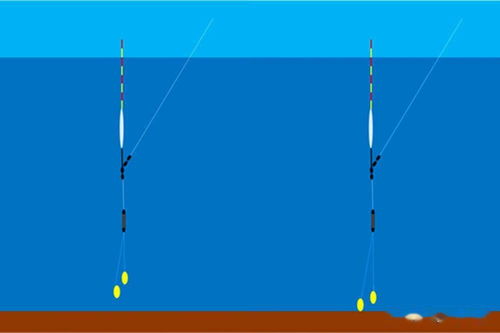 图解钓鱼调漂的5种方法,各有各的特点,适合不同的鱼情