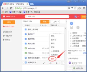 macbookpro怎么取消wps订阅(macbook怎么关闭wps)(macbook取消wps自动续费)