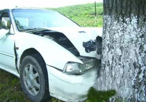 遇到交通事故,为什么老司机宁愿撞墙也不撞树 交警的分析亮了