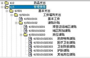 三级科目代码怎么编