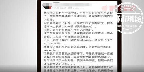 老师看论文作业会查重吗