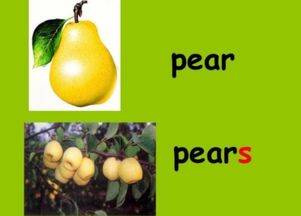 pear怎么读,pear怎么读？