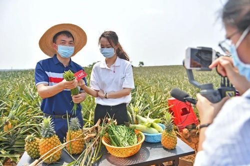 农佳乐播 绿水青山画卷美 乡村振兴踏歌来