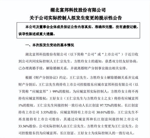  富邦股份王仁宗的所有公司有哪些,从化肥助剂到数字农业的多元化布局 天富平台