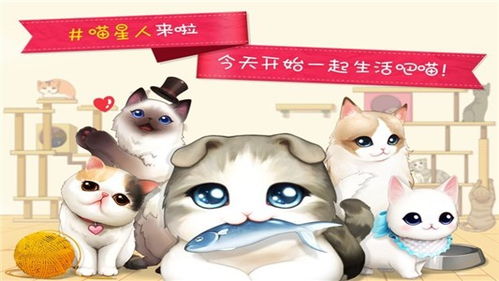 cate猫猫币,cae猫猫币:满足你对可爱加密货币的渴望 cate猫猫币,cae猫猫币:满足你对可爱加密货币的渴望 应用