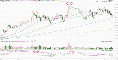 什么原因会导致股票MACD指标顶背离的情况下股价不断创新高