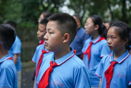 小学生 申请书 火了,想和喜欢的女孩做同桌,原因让人无法反驳