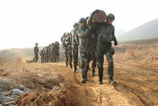 我是特种兵 霹雳火 霸气来袭,荷尔蒙爆棚有木