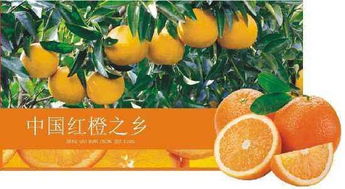 2022年廉江市红橙节时间,红橙节是什么时候