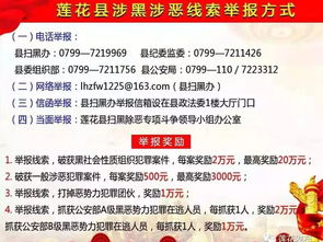 2024第二批主题教育谈心谈话记录 2024第二批主题教育谈心谈话记录 应用