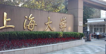 上海211大学,上海有几所211大学