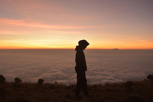 白居易举，一场诗意人生的思考之旅，白居易中举