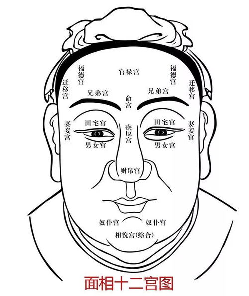 古代人 看脸 的专业方法 面相十二宫