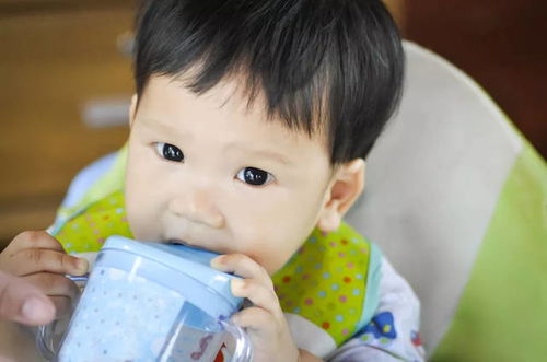 奶瓶 吸管杯 鸭嘴杯 学饮杯 0 3岁宝宝到底该用什么杯子 
