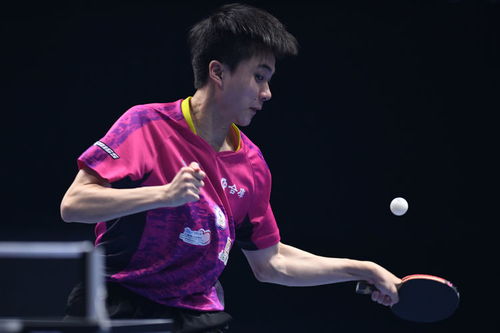 樊振东速胜林昀儒,乒乓球男子世界杯进决赛,迎战张本智和
