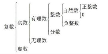 探秘无理数：那些隐藏在平凡数字中的奇妙平方