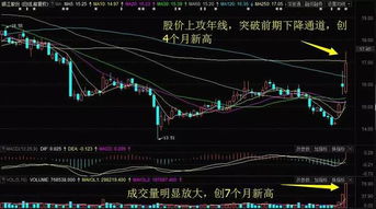 股票北方导航10送10为啥份额还是原来的?