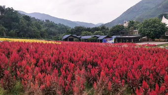 德庆盘龙峡门票,德庆盘龙峡准确票价，包括水世界，漂流，景区门票等等-第4张图片