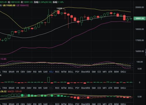 btc币的行情分析,btc行情图怎么看