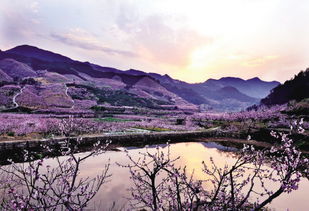 义乌桃花坞,浙江一区桃花坞开区时间-第3张图片