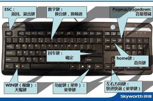 问下哪个键盘好