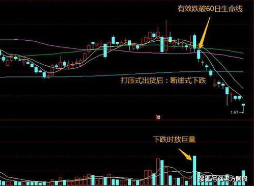 看到股票诊断中提到“主力高度控股”这句话，是否还应该买这个股票？