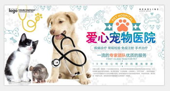 宠物用品宠物店 16428781 其他海报设计 