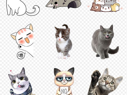 卡通猫可爱小猫咪海报素材背景图片PNG