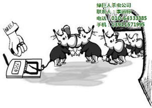写字楼灭老鼠 北京市灭老鼠 绿巨人杀虫灭老鼠最低优惠价格 