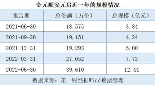 配置型基金