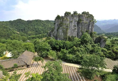 曾家山旅游景区门票(2022年广元曾家山景区门票多少钱)